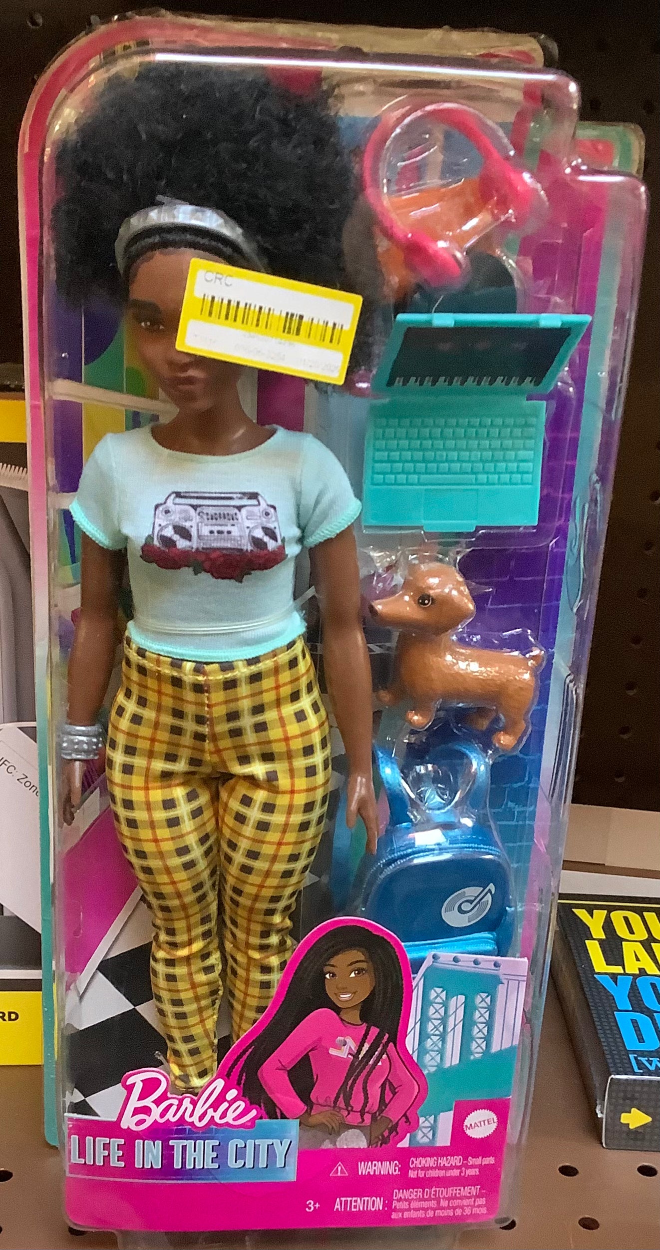 Barbie Life in the City Lyla Doll with Pet & Accessories, Toy for 3 Years & Up