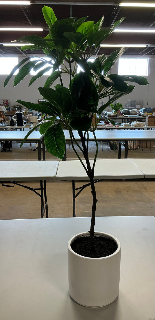 Potted faux plant - COSMETIC FLAWS ON PLANTER - PICK UP ONLY