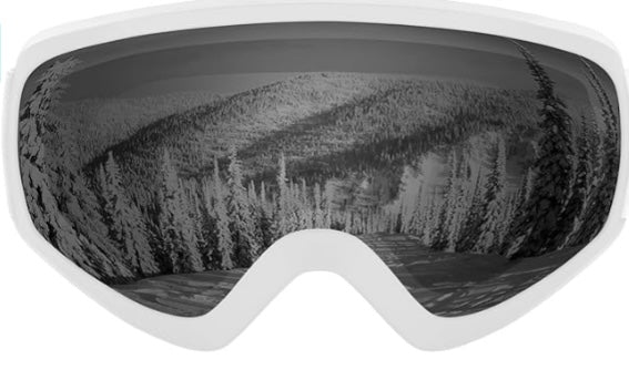 Retrospec Traverse Ski Goggles
