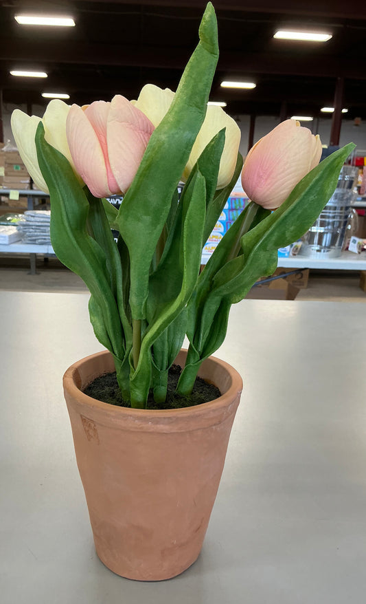 Thrifty 70- Linden Street 13" Tulip Floral Arrangement- never used only has some minor scratches around the base- As is- Final sale- No return