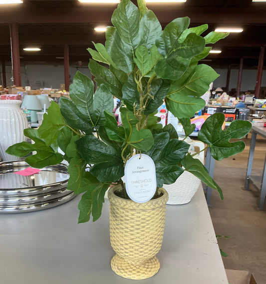 Fig leaf arrangement - AS IS - SOME MINOR COSMETIC FLAWS