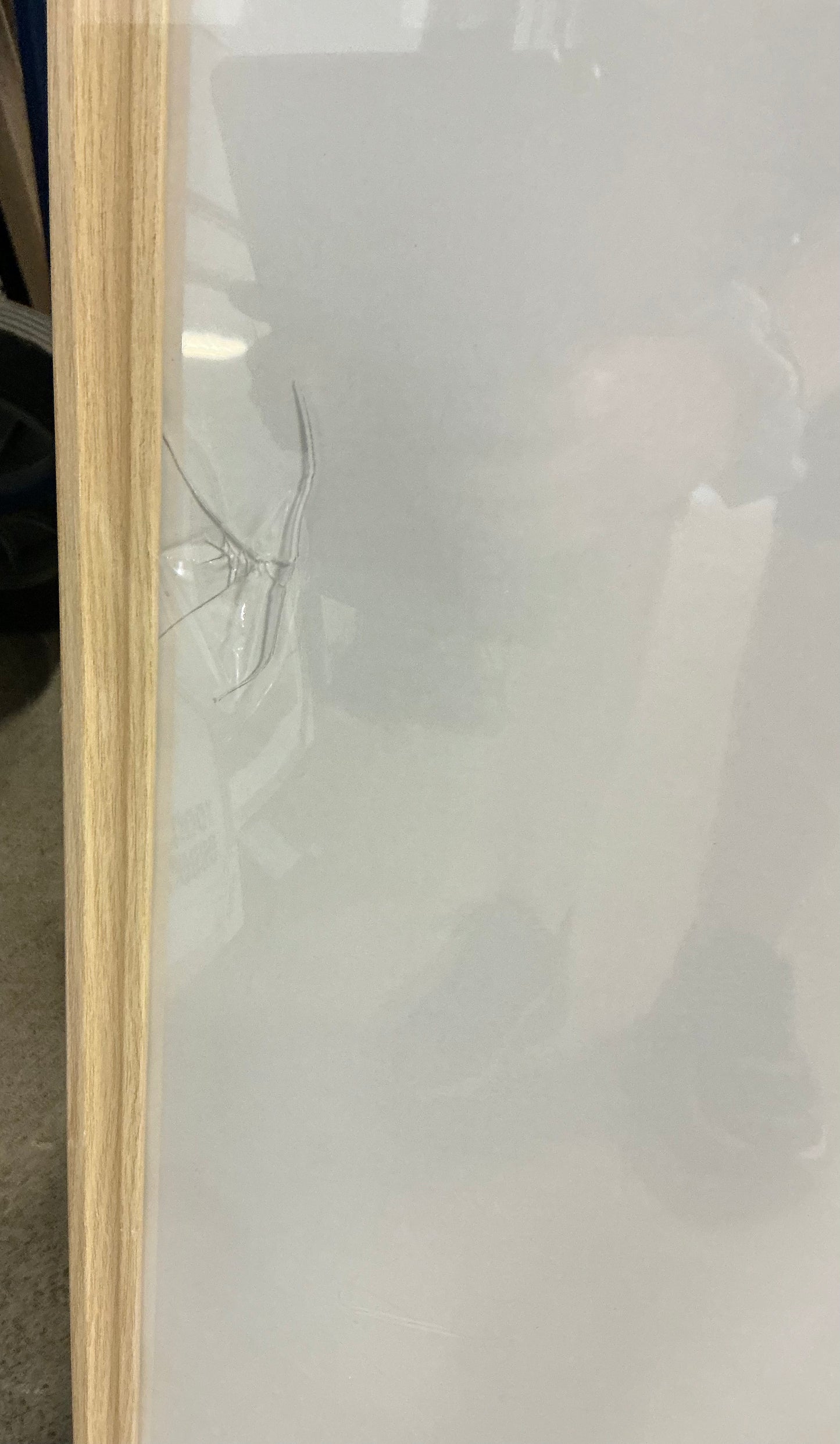 THRIFTY 70 - 20X28” traditional poster picture frame - AS IS - CRACKED ON THE FRONT - FINAL SALE - NO RETURNS - PICK UP ONLY