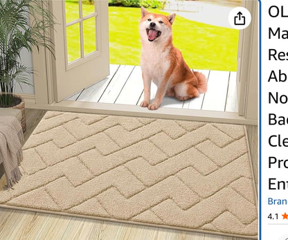 Indoor door mat beige-48 x 30