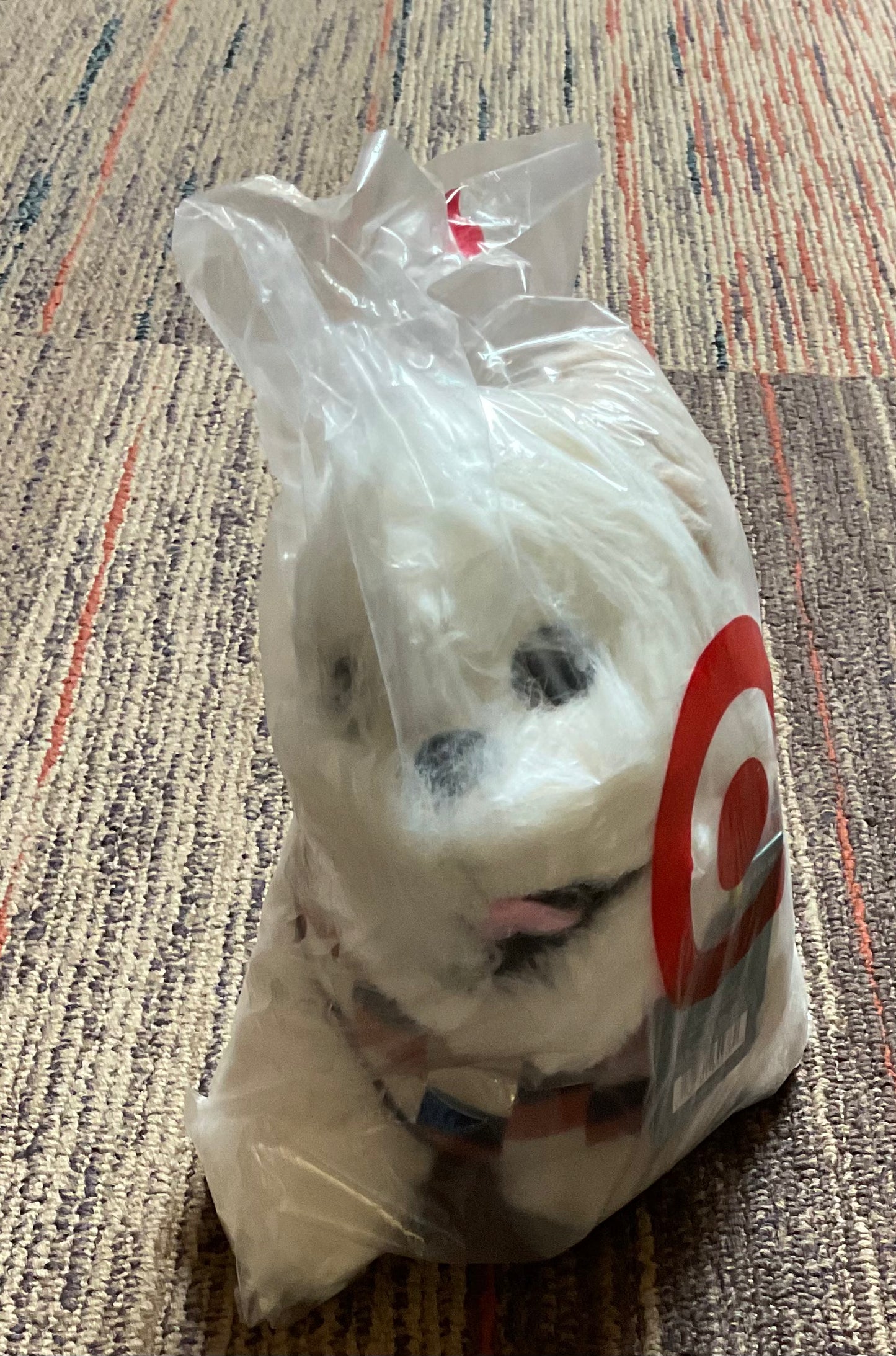 (CLEARANCE) Cuddle Collab Popeye
Dog Plush Toy