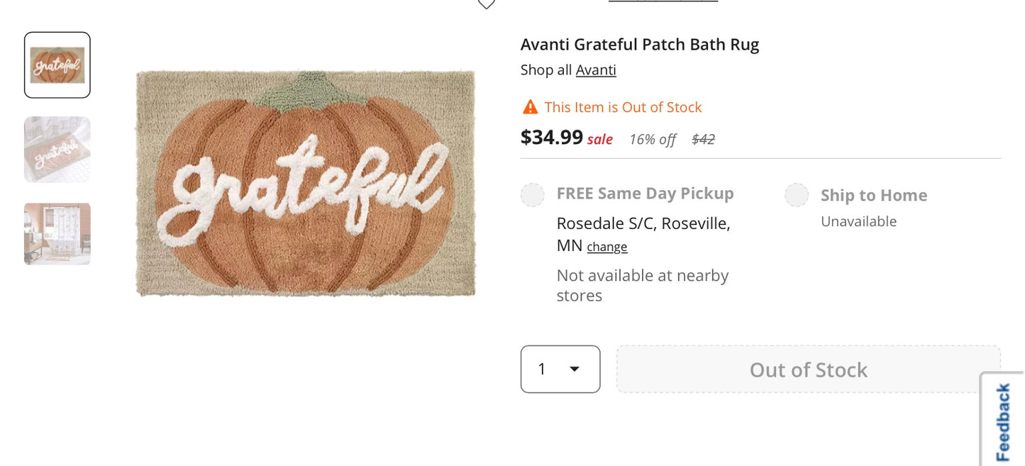 Avanti Grateful Patch Bath Rug 20x30 Inch