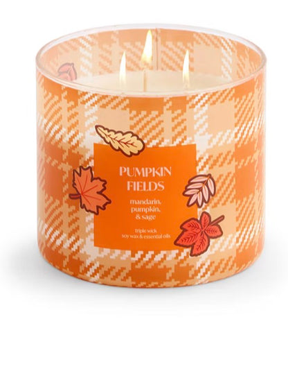 Distant Lands 3-Wick Scented Jar Candle