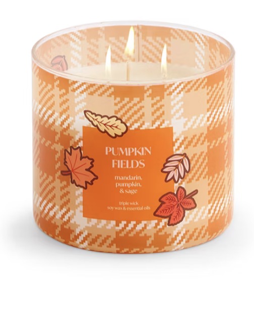 Distant Lands 3-Wick Scented Jar Candle