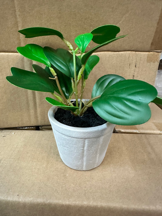 CLEARANCE- Case Pack of 4 - Tabletop Plant Decor Arrangement (AS IS)