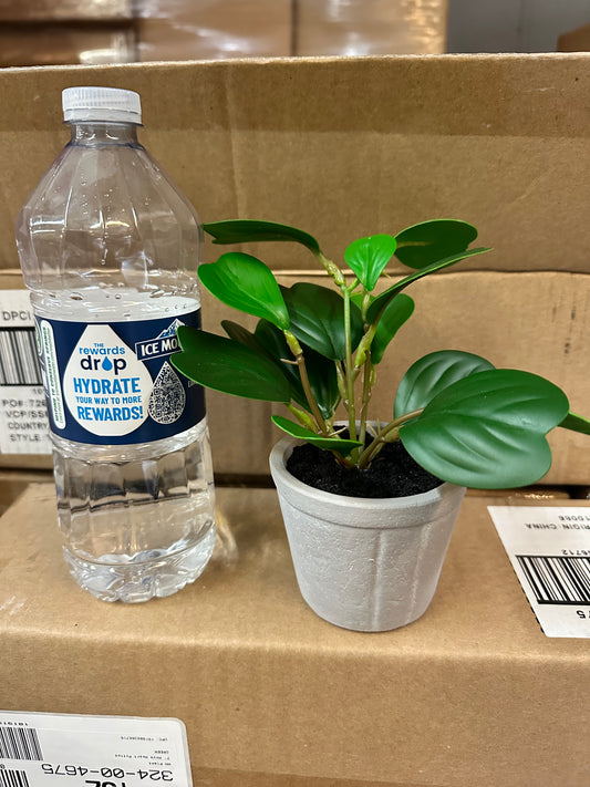 CLEARANCE- Case Pack of 4 - Tabletop Plant Decor Arrangement (AS IS)