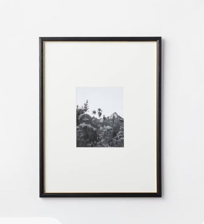 8x10" gallery wall frame black/brass - AS IS - MINOR COSMETIC FLAWS - PICK UP ONLY