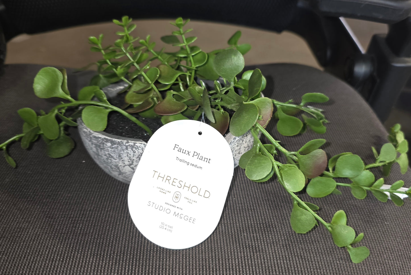 Faux Plant Troll8ng Sedum by Studio McGee AS-IS