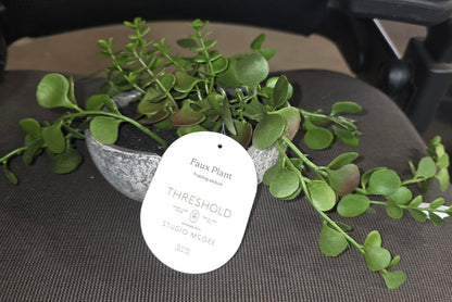 Faux Plant Troll8ng Sedum by Studio McGee AS-IS