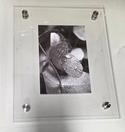 Clear Acrylic Float Wall Photo Frame