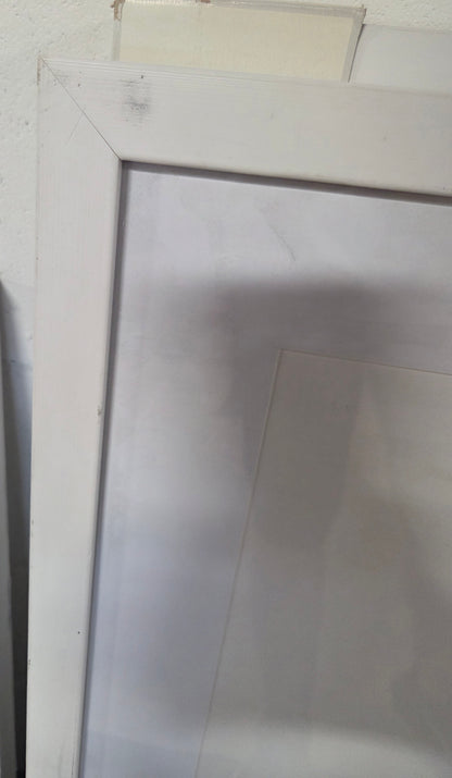 Framed underglass wall art - AS IS - BOTH HAVE SOME COSMETIC FLAWS (see pictures) - PICK UP ONLY