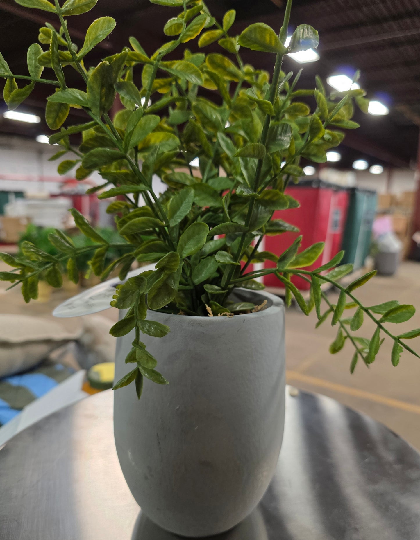 14" Artificial Potted Privet - Threshold™ designed with Studio McGee