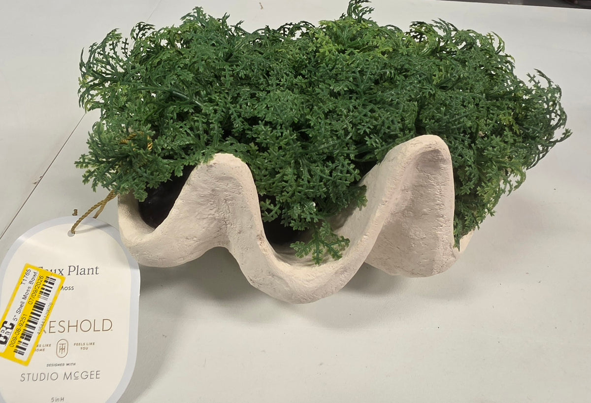Threshold Shell Moss Bowl Outdoor Patio Tabletop Artificial Plant
