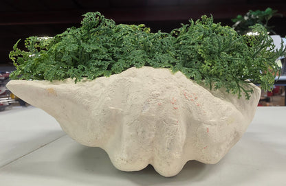 Threshold Shell Moss Bowl Outdoor Patio Tabletop Artificial Plant