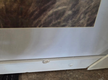 Framed underglass wall art - AS IS - BOTH HAVE SOME COSMETIC FLAWS (see pictures) - PICK UP ONLY