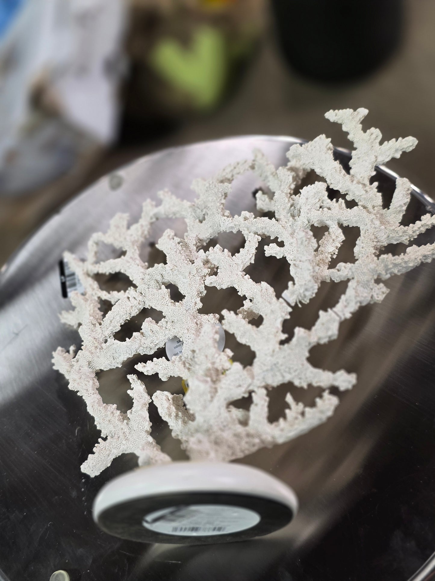 12" XL Coral Figural - Threshold™