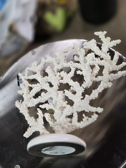 12" XL Coral Figural - Threshold™