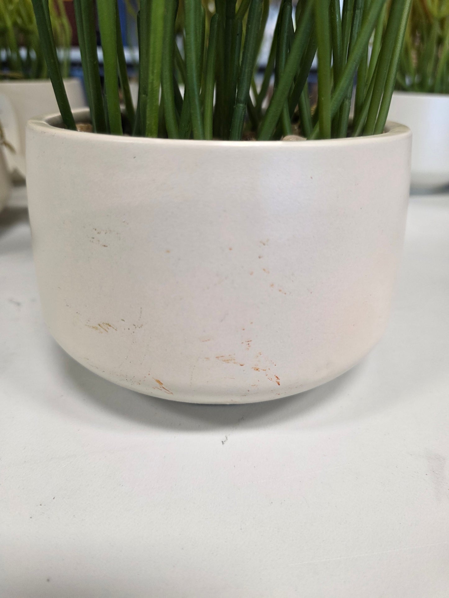 Threshold Artificial Pencil Cactus Dish Garden AS-IS