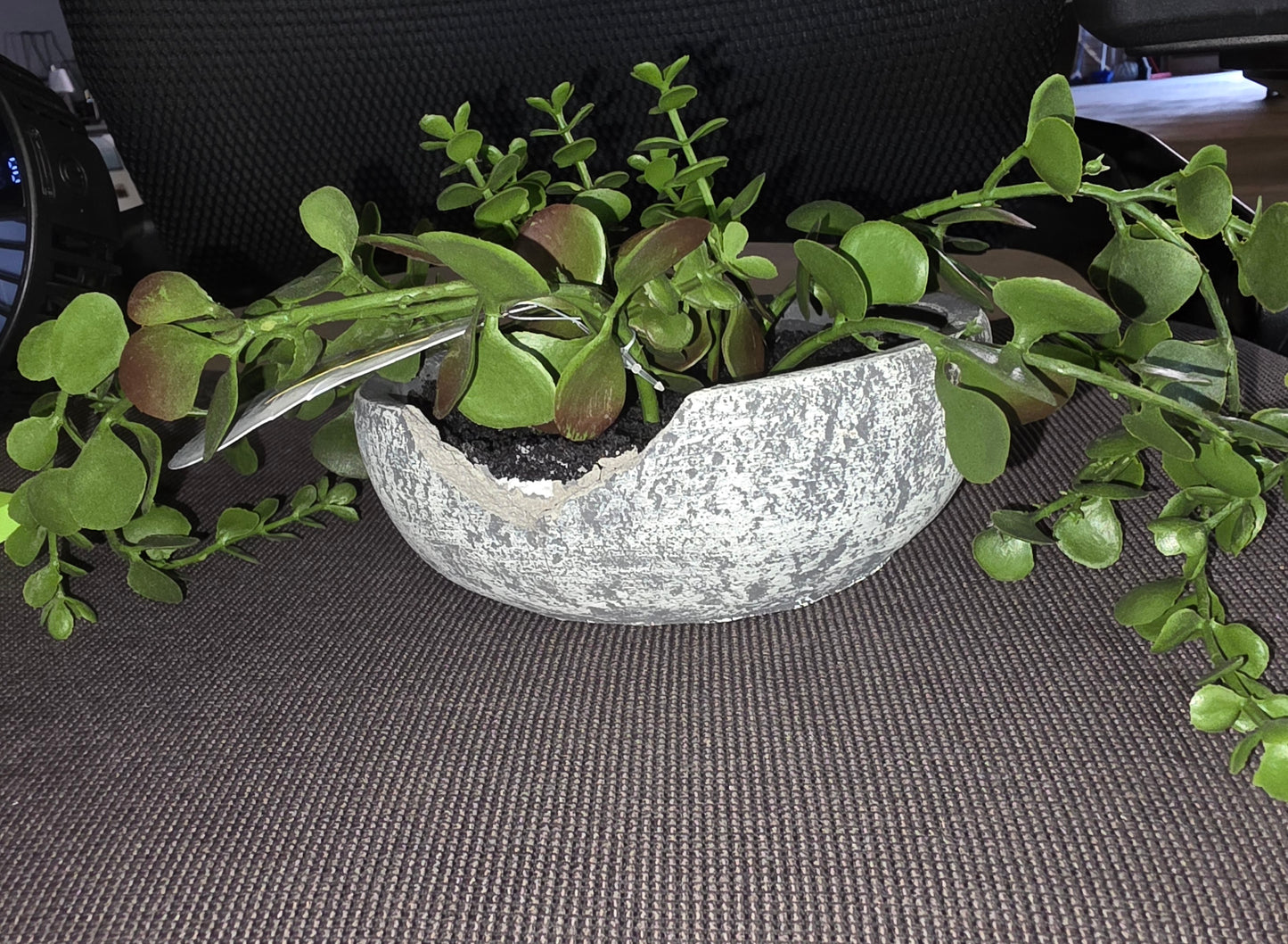 Faux Plant Troll8ng Sedum by Studio McGee AS-IS