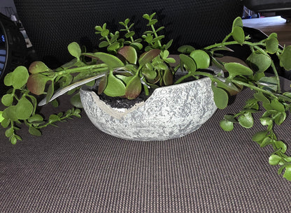 Faux Plant Troll8ng Sedum by Studio McGee AS-IS