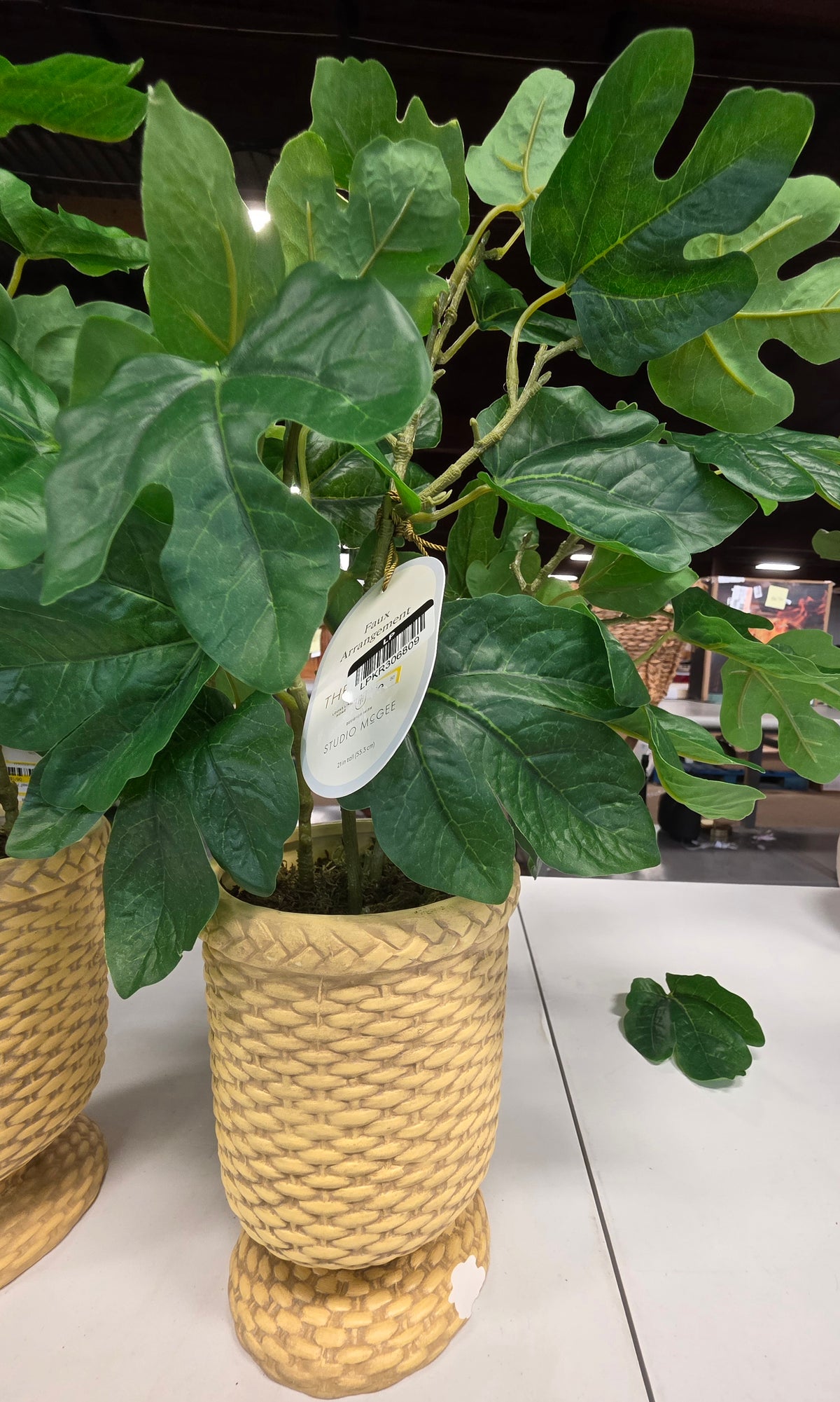 Faux Fig Leaf Arrangement 21" Studio McGee AS-IS