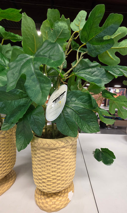 Faux Fig Leaf Arrangement 21" Studio McGee AS-IS