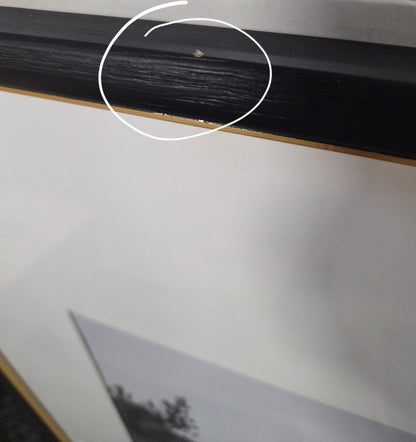 20x26" matted to 11x14" gallery wall frame black/brass - AS IS - MINOR COSMETIC FLAW (see picture) - PICK UP ONLY