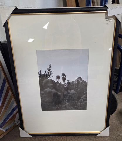 20x26" matted to 11x14" gallery wall frame black/brass - AS IS - MINOR COSMETIC FLAW (see picture) - PICK UP ONLY