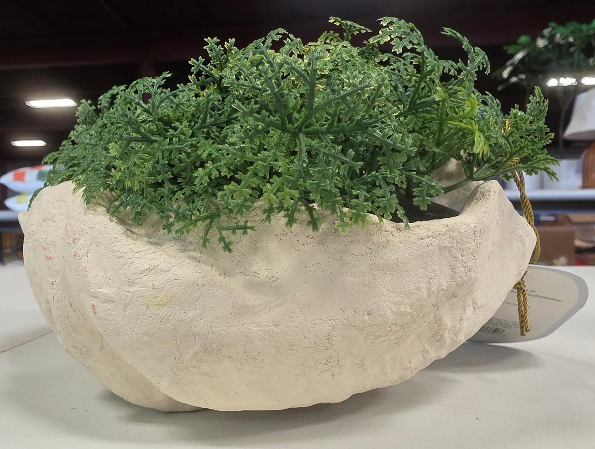 Threshold Shell Moss Bowl Outdoor Patio Tabletop Artificial Plant