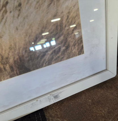 Framed underglass wall art - AS IS - BOTH HAVE SOME COSMETIC FLAWS (see pictures) - PICK UP ONLY