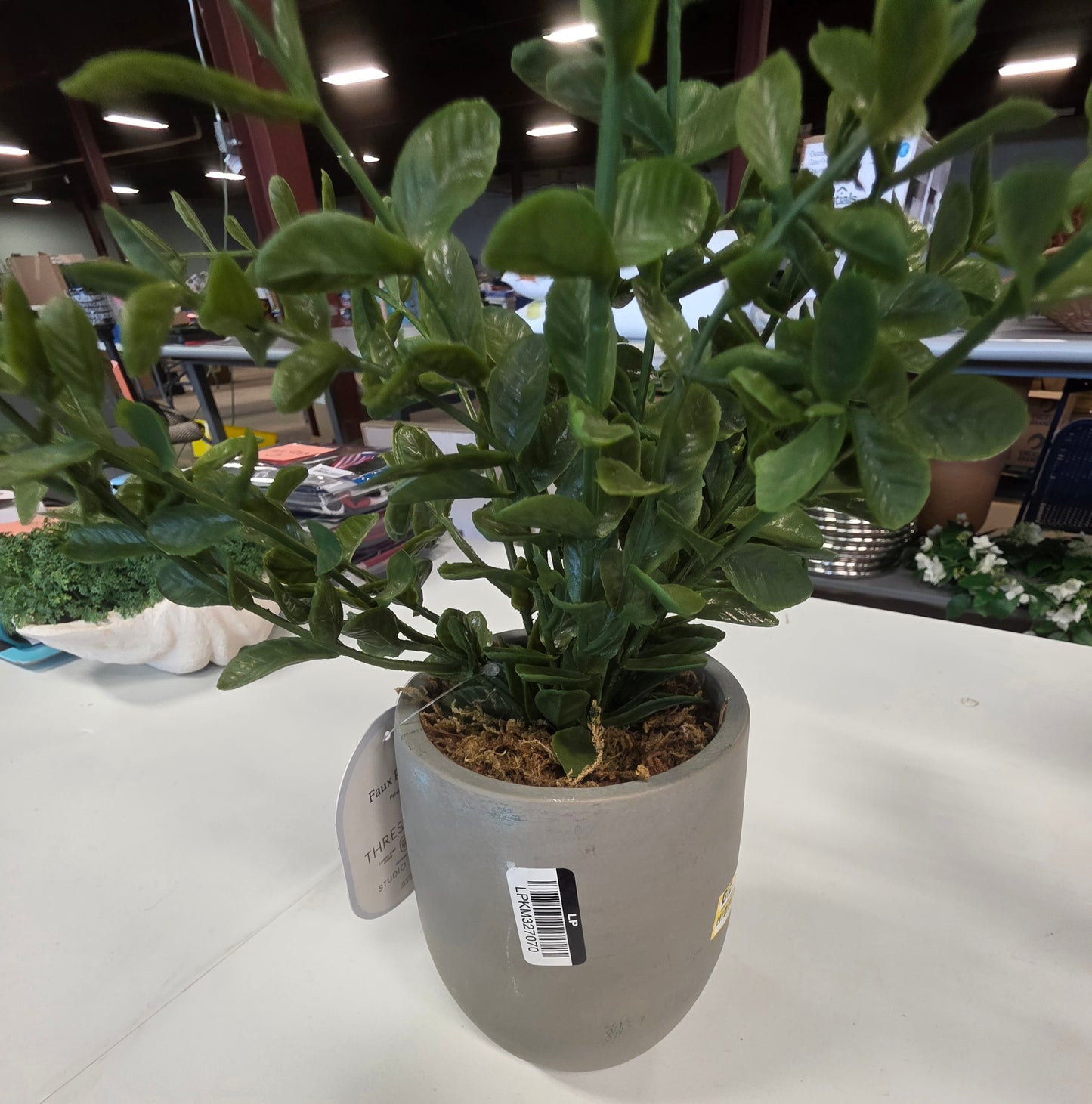 14' Artificial Potted Plant AS-IS