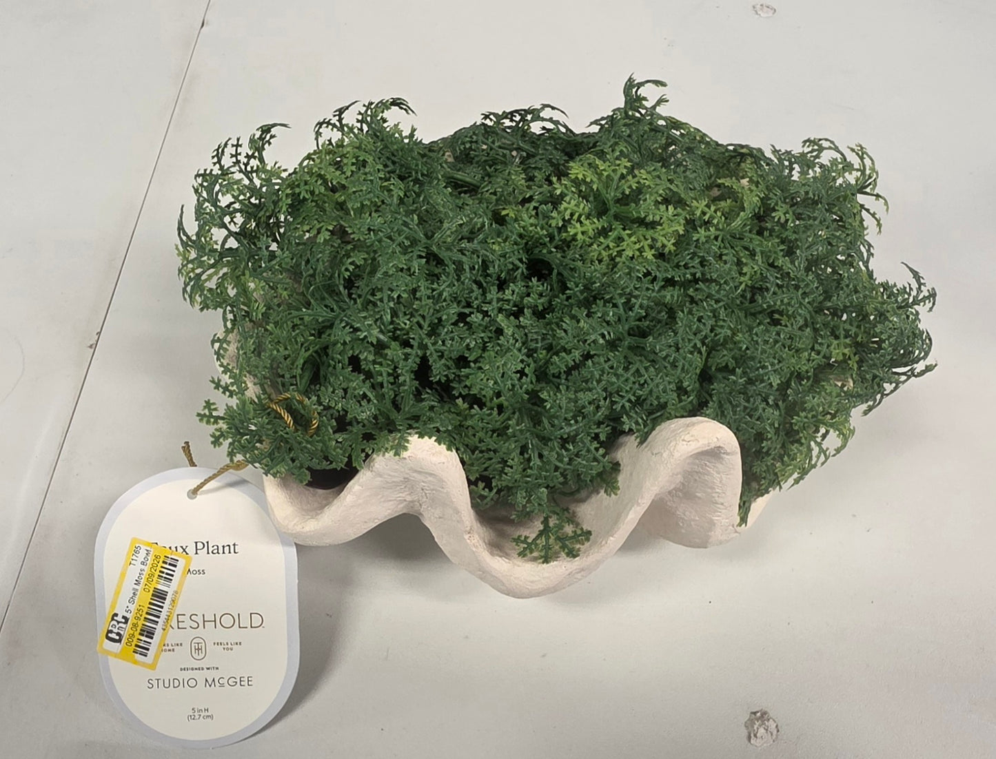 Threshold Shell Moss Bowl Outdoor Patio Tabletop Artificial Plant