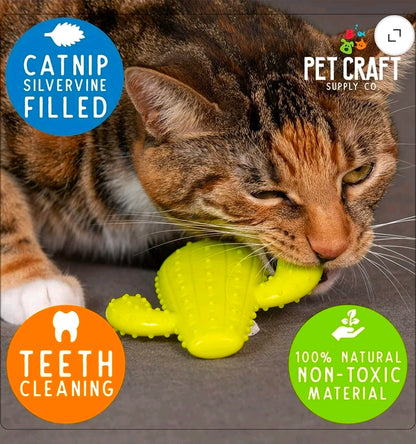 Pet Craft Supply Cactus Interactive Cat Toy Chew Toy Teeth Cleaning with Catnip and Silvervine Bag