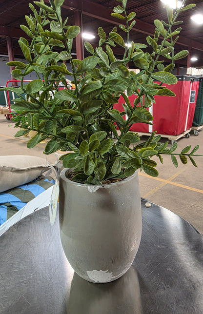 14" Artificial Potted Privet - Threshold™ designed with Studio McGee AS-IS