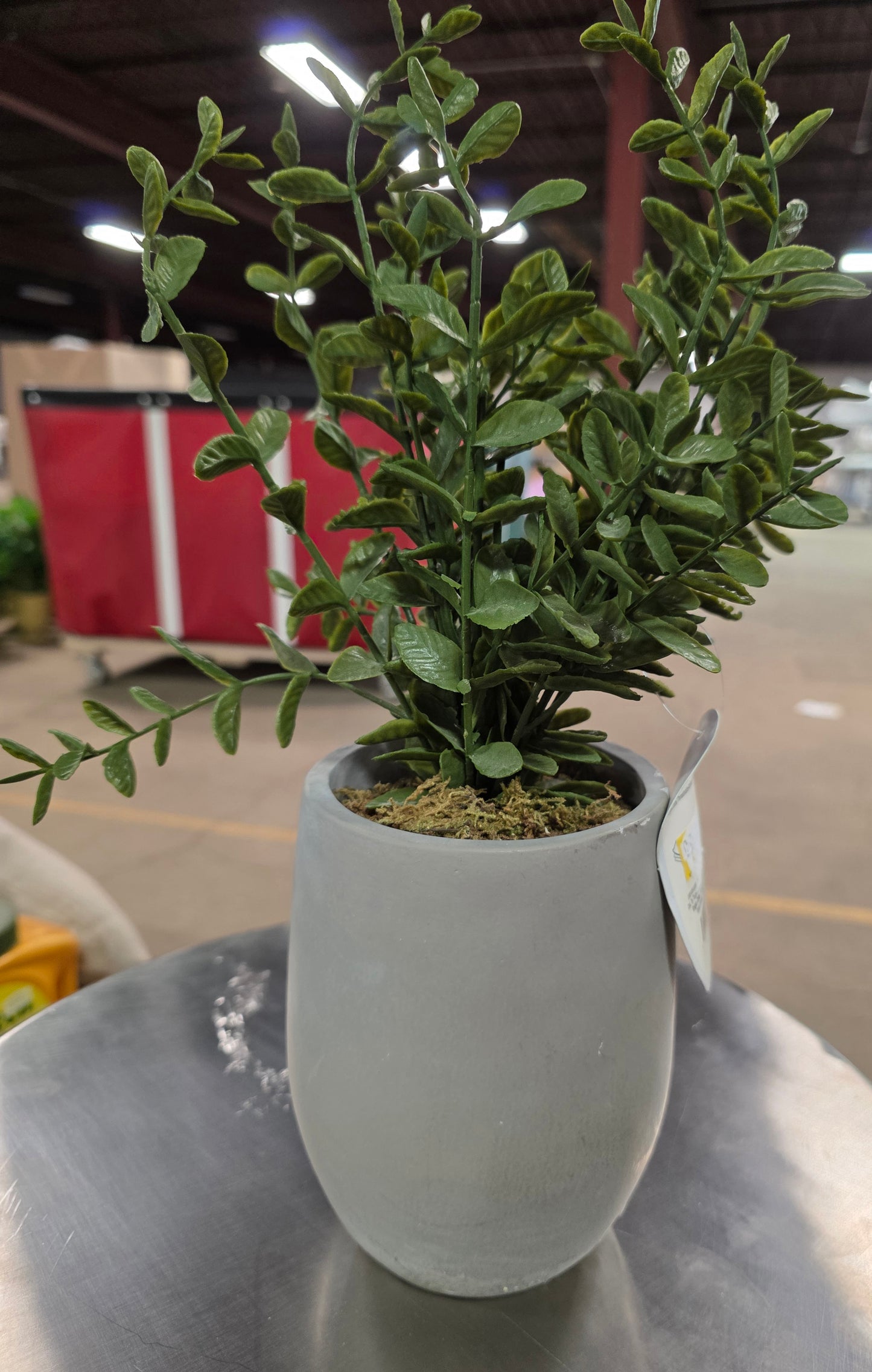 14" Artificial Potted Privet - Threshold™ designed with Studio McGee AS-IS