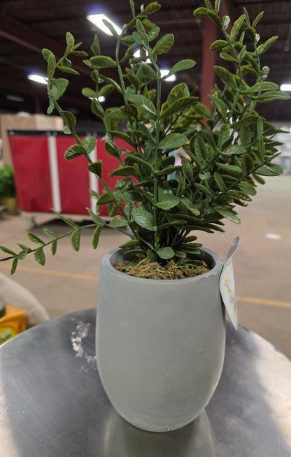 14" Artificial Potted Privet - Threshold™ designed with Studio McGee AS-IS