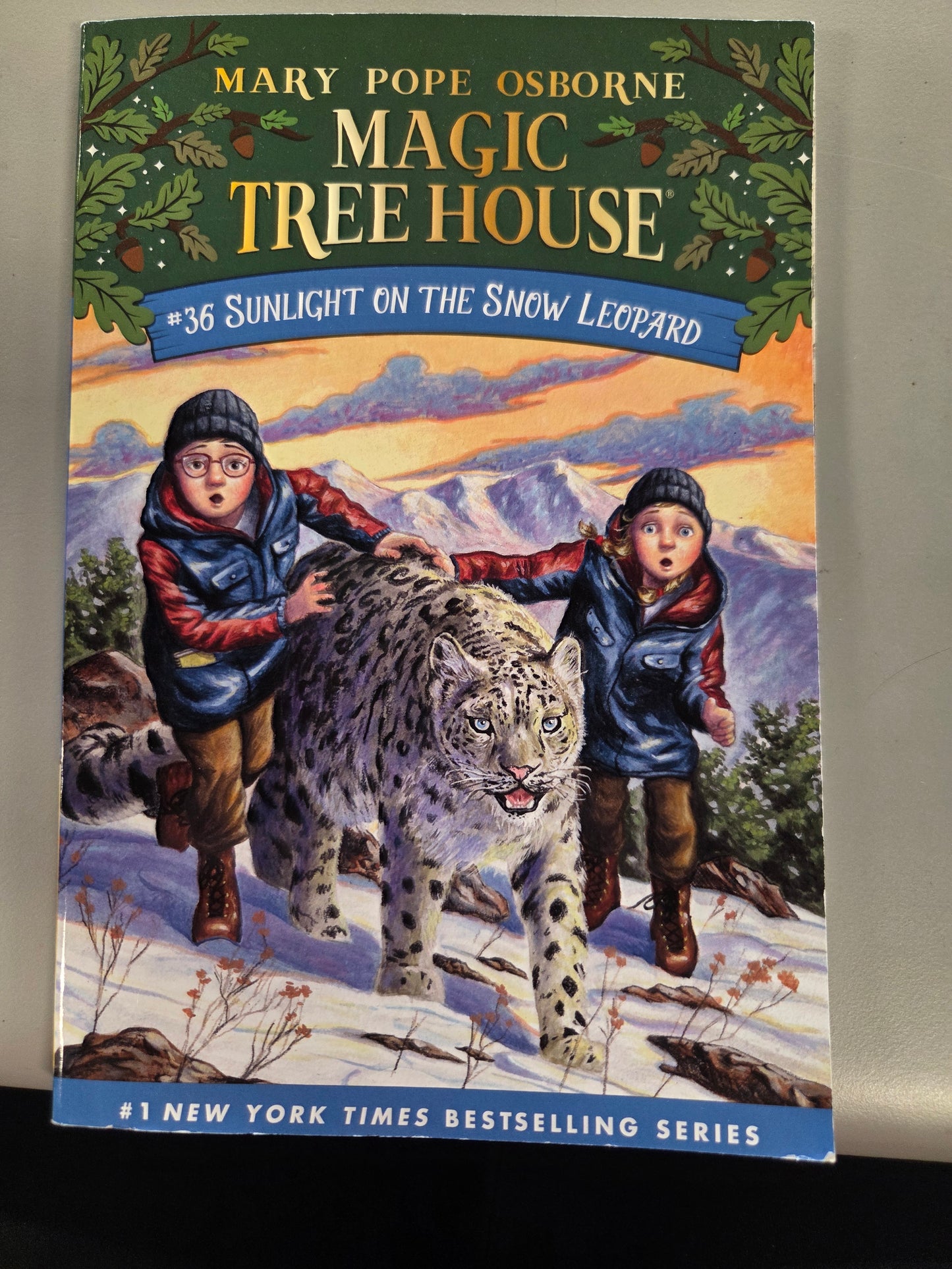 Magic tree house by Mary Pope Osborne